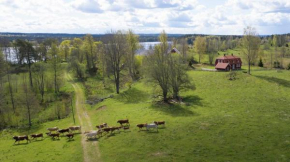 Villa Näs - a modern country villa Mullsjö